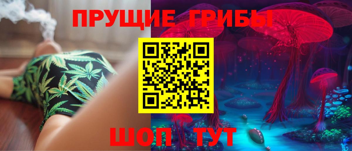 Псилоцибиновые грибы Psilocybe  Галлюциногенные грибы Psilocybe  Усть-Джегута  Вход с VPN 